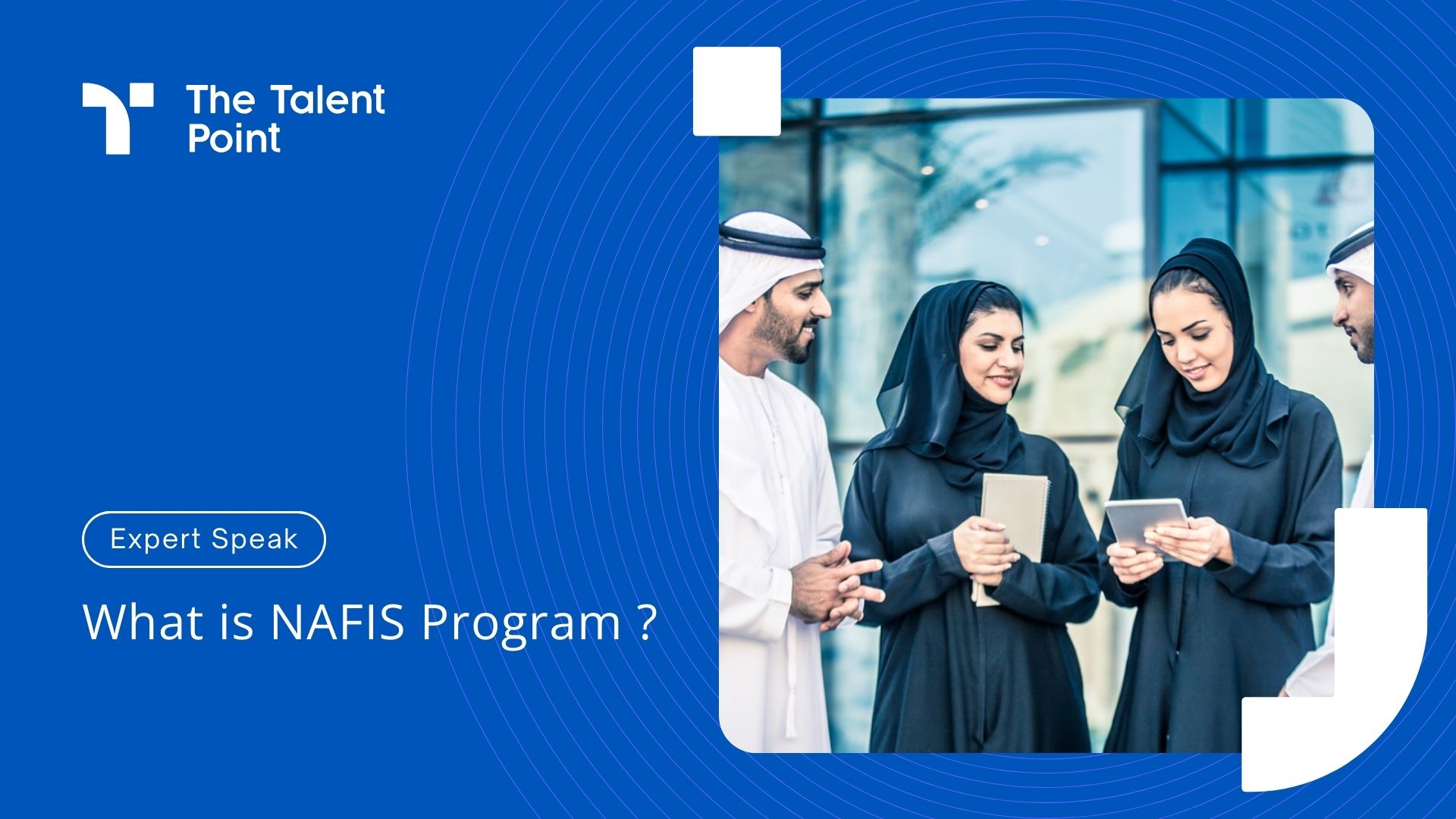What is NAFIS Program Initiative for Emirati citizens in UAE